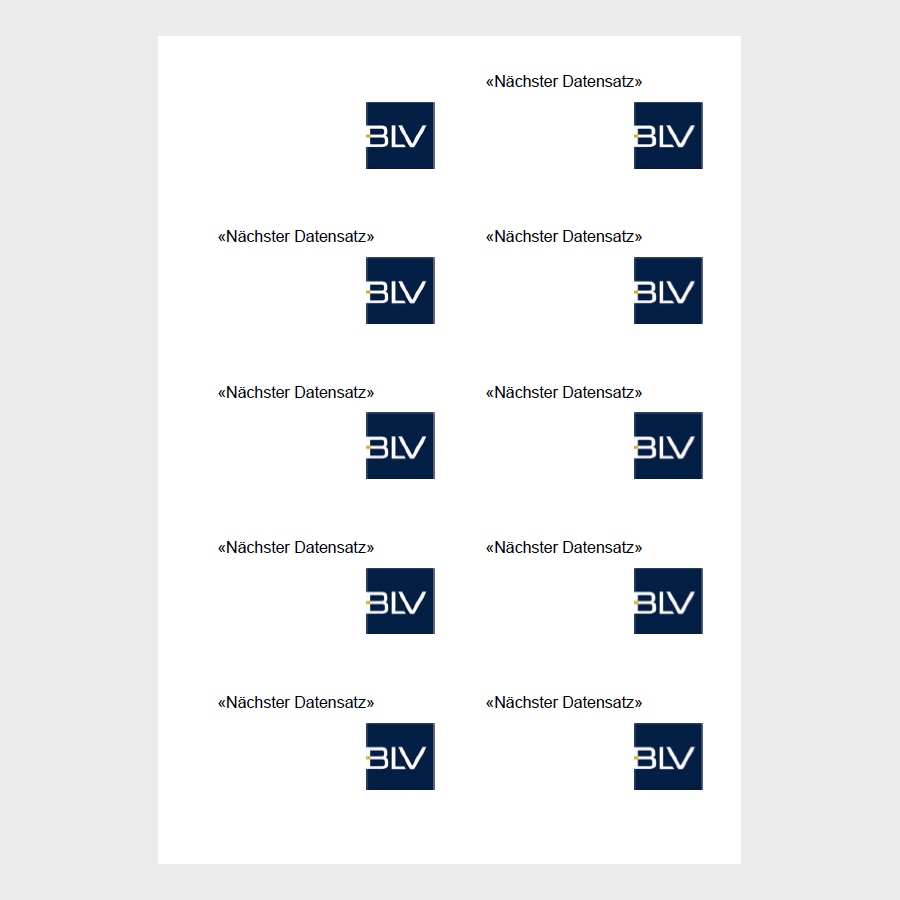 Textiletiketten/Namensetiketten (1 VPE = 10 Etiketten = 1 Bogen)