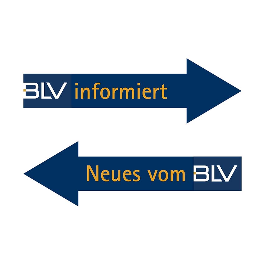 BLV BW Werbemittel S250 Info Pfeile