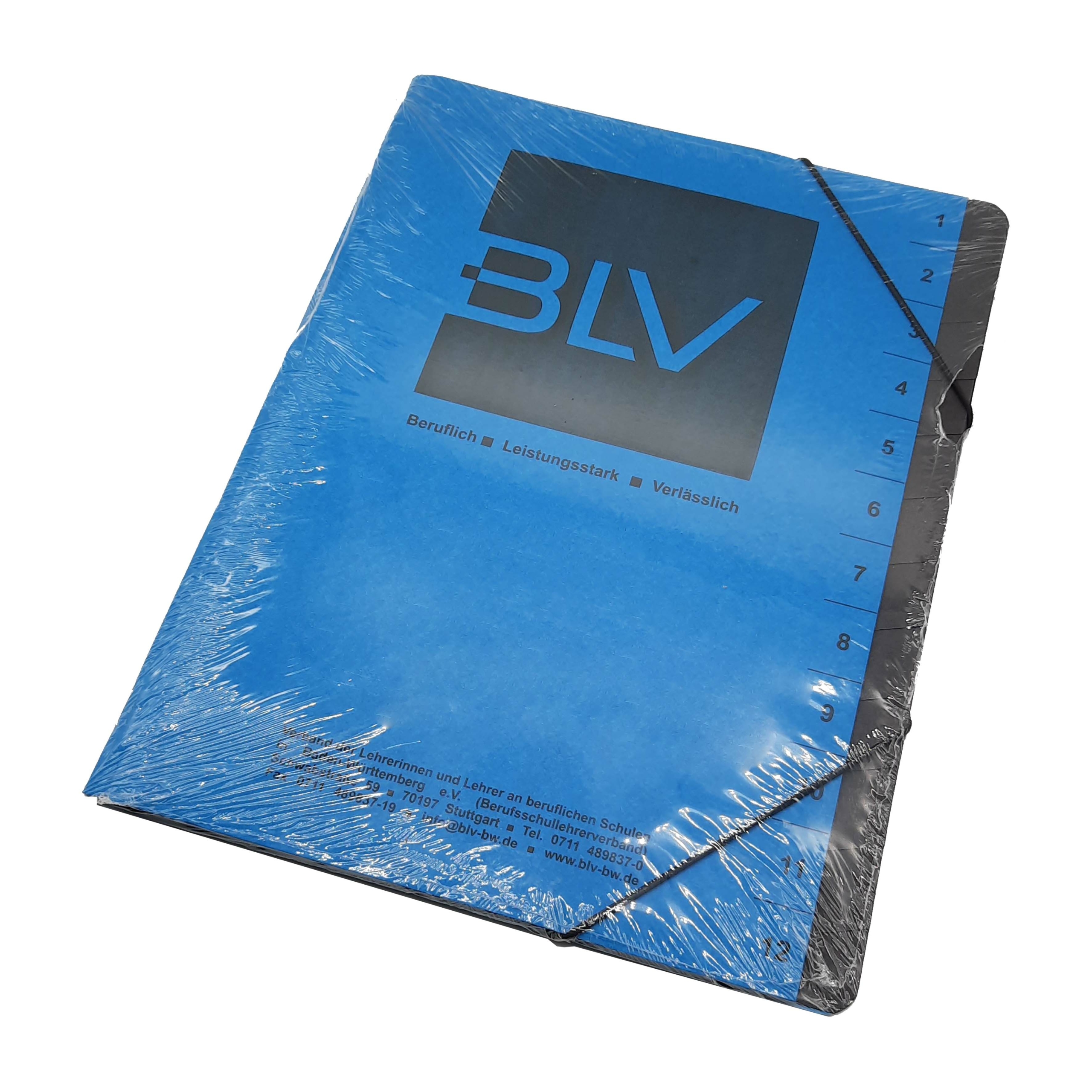 Ordnungsmappe mit 12er-Register (1 Ex.)