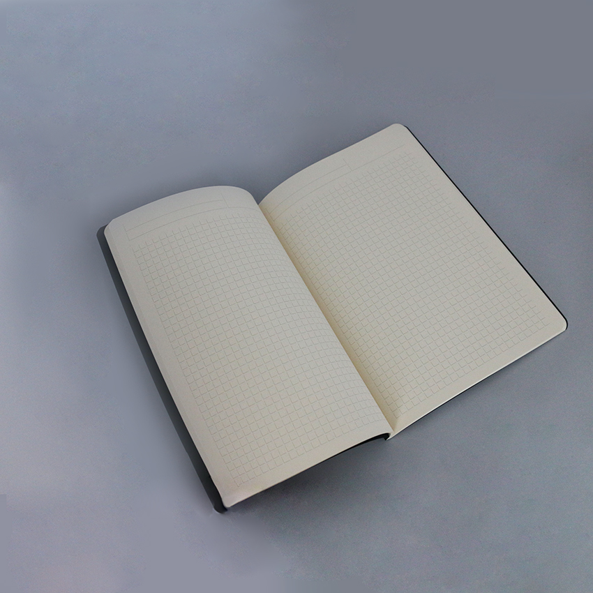 BLV BW Werbemittel Copy Book Notizbuch Innenseiten G151