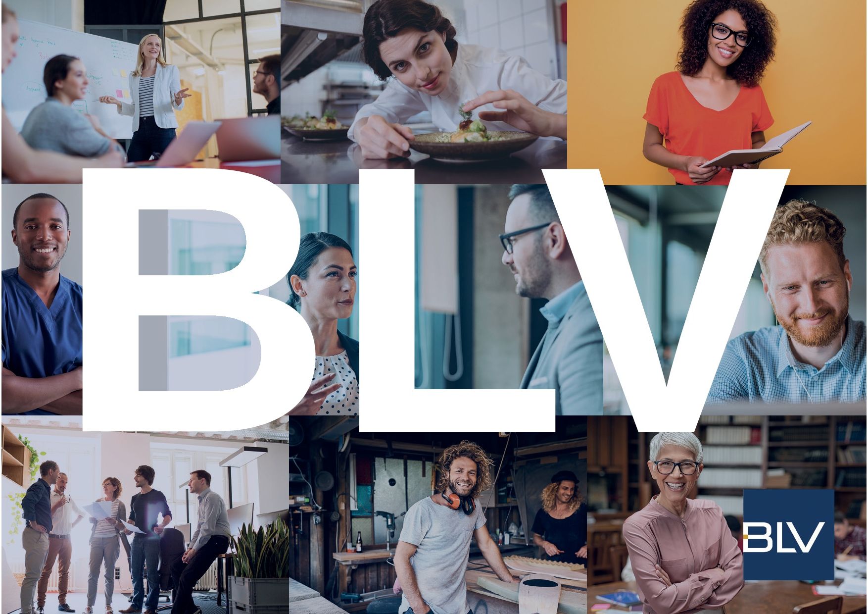 BLV BW B113 Werbemittel Postkarten Ehrenamt 12er-Pack BLV